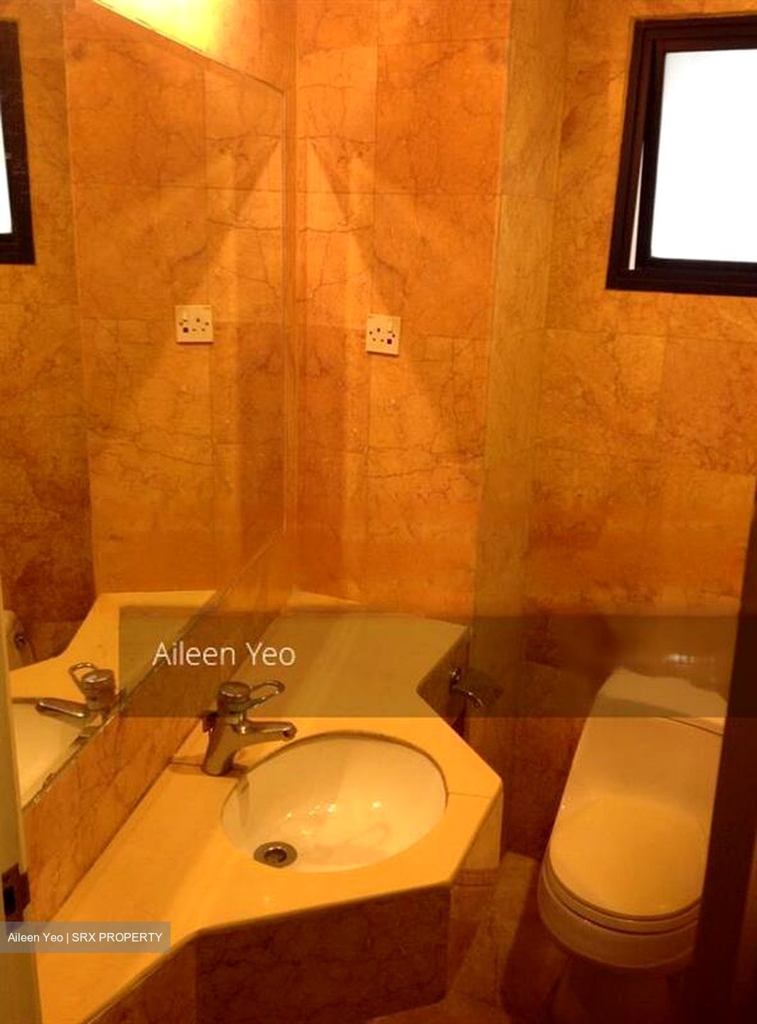 Nineteen Shelford Road (D11), Condominium #467701281